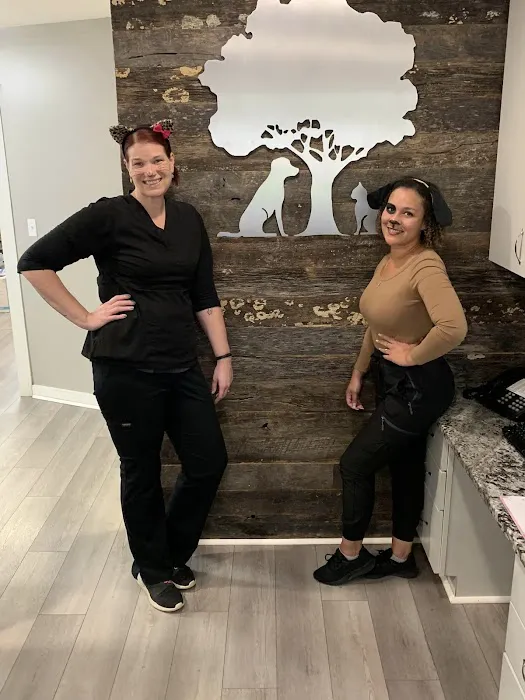 Harmony Veterinary Clinic 6