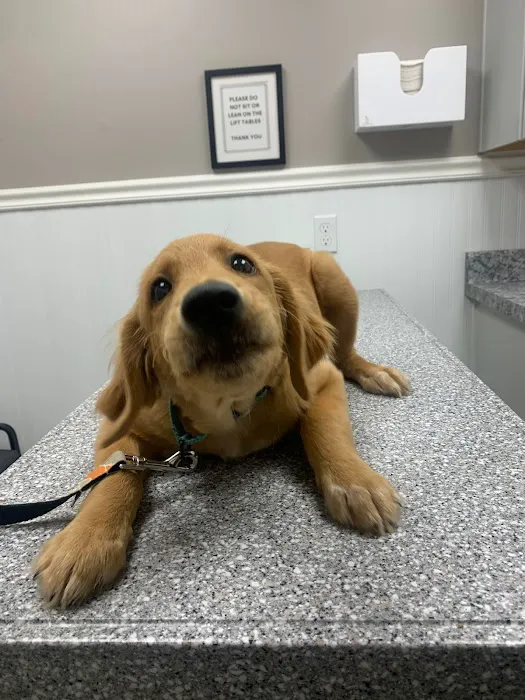 Harmony Veterinary Clinic 8