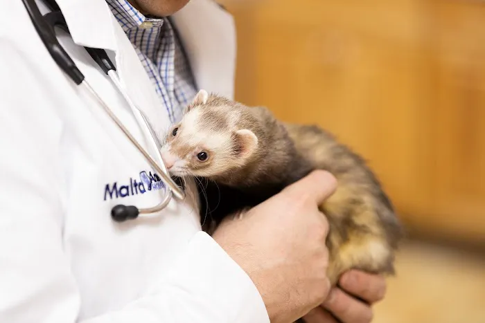 Malta Animal Hospital 9