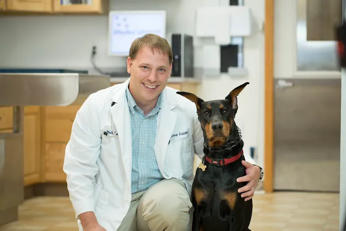 Malta Animal Hospital 5