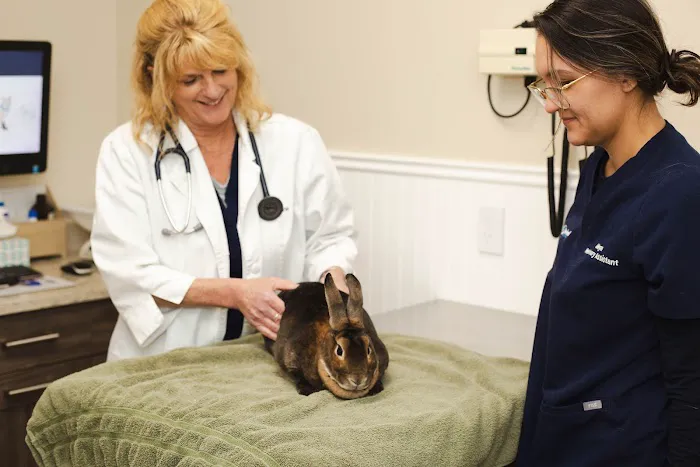 Malta Animal Hospital 1
