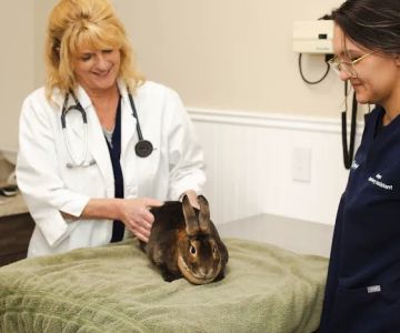 Malta Animal Hospital