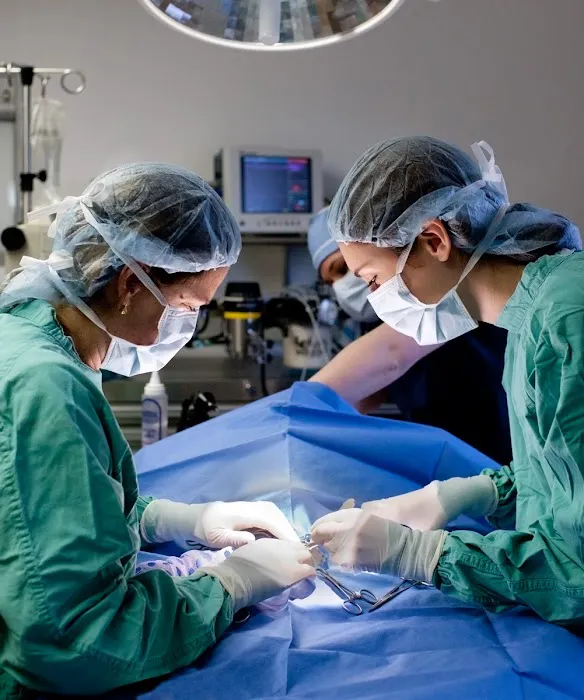 Malta Animal Hospital 3