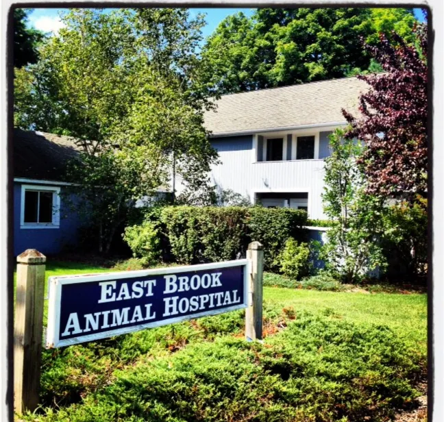 East Brook Animal Hospital 10