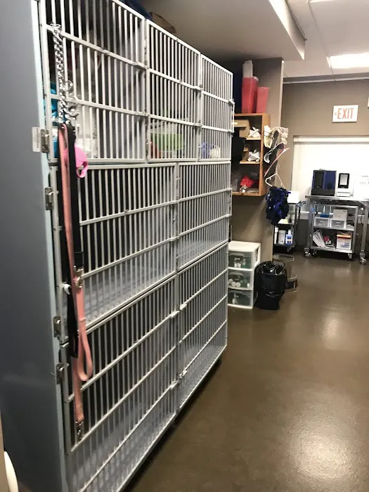 New London Veterinary Treatment Facility 2