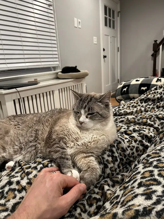 Groton Ledyard Veterinary Hospital 4