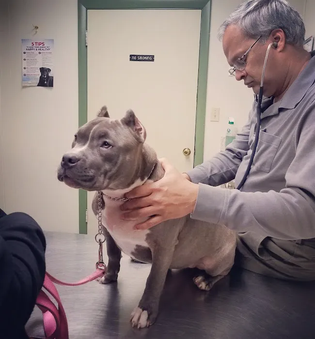 Waterford Animal Hospital 3
