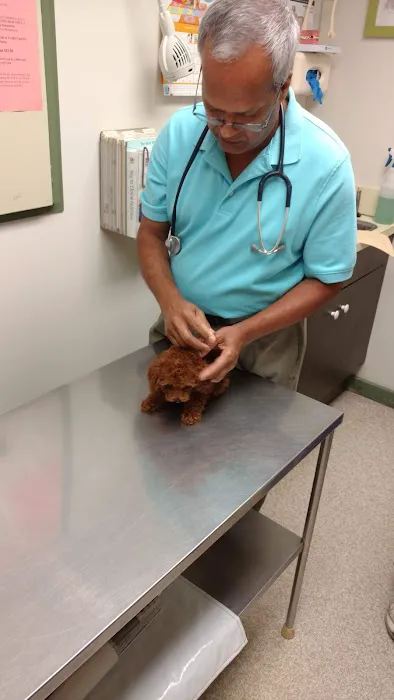 Waterford Animal Hospital 2