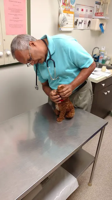 Waterford Animal Hospital 1