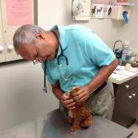 Waterford Animal Hospital ico