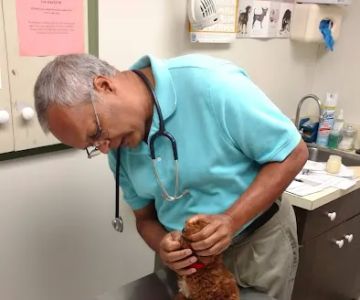 Waterford Animal Hospital