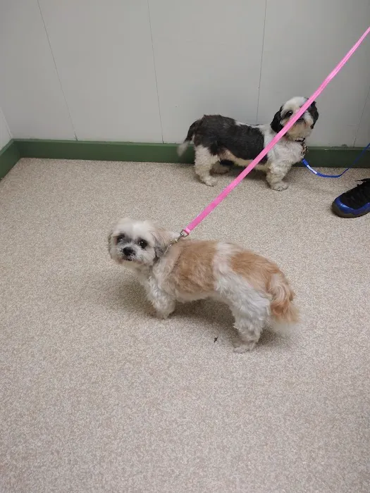 Waterford Animal Hospital 7