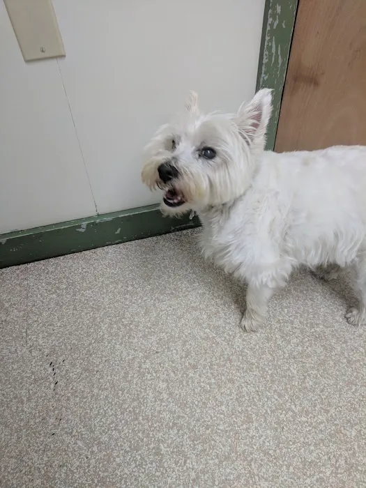 Waterford Animal Hospital 8