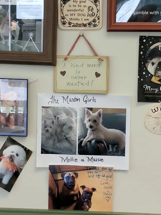 Waterford Animal Hospital 10