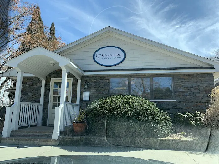 Companion Animal Hospital 10