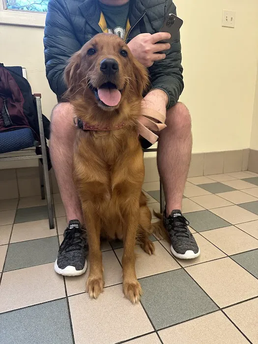 Companion Animal Hospital 9