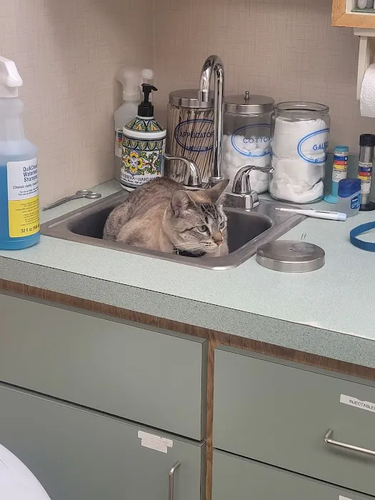 Companion Animal Hospital 6