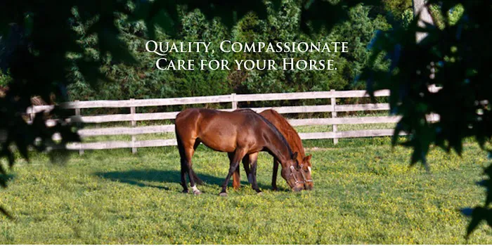 Twin Pines Equine Vet Services 2