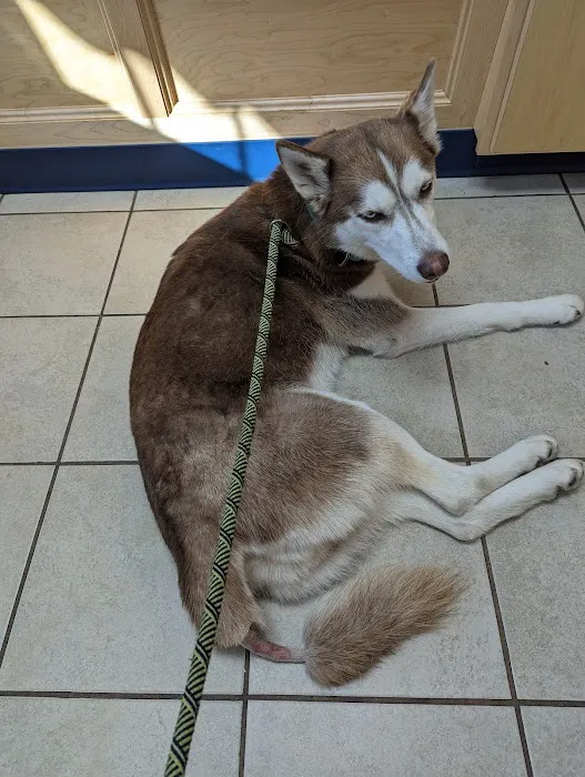 Noank-Mystic Veterinary Hospital 5