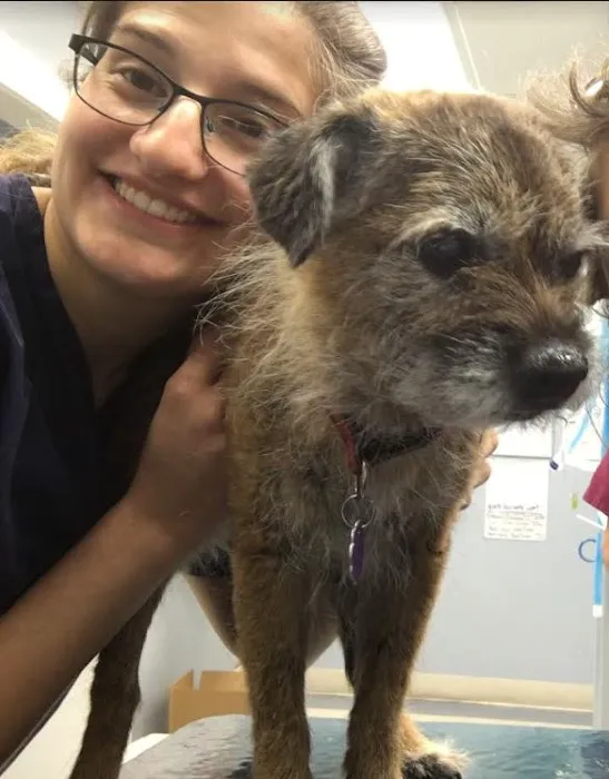 Noank-Mystic Veterinary Hospital 9