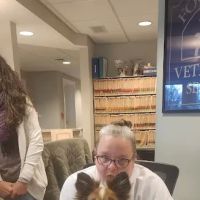 Four Paws Veterinary Services, PC ico