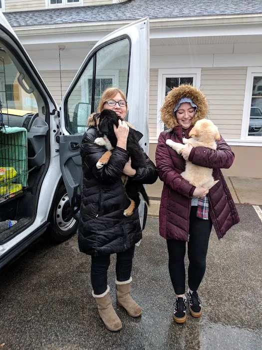 Four Paws Veterinary Services, PC 8