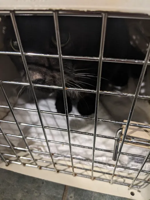 Four Paws Veterinary Services, PC 9