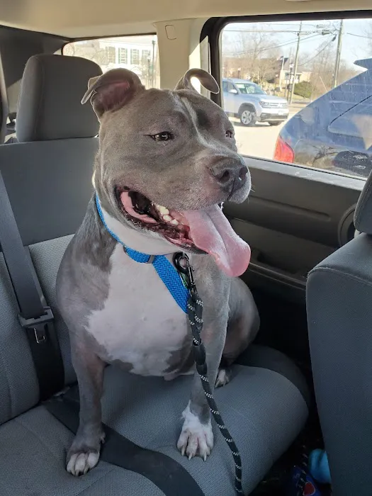 Four Paws Veterinary Services, PC 10