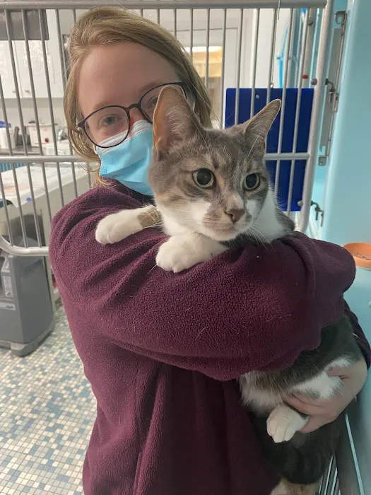 Northeastern Veterinary Care Center 1
