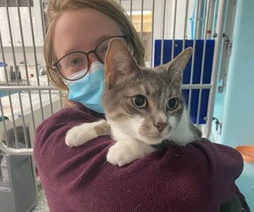 Northeastern Veterinary Care Center