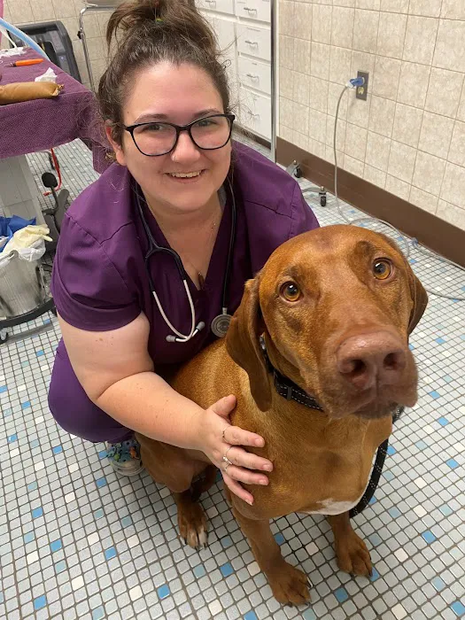 Northeastern Veterinary Care Center 4