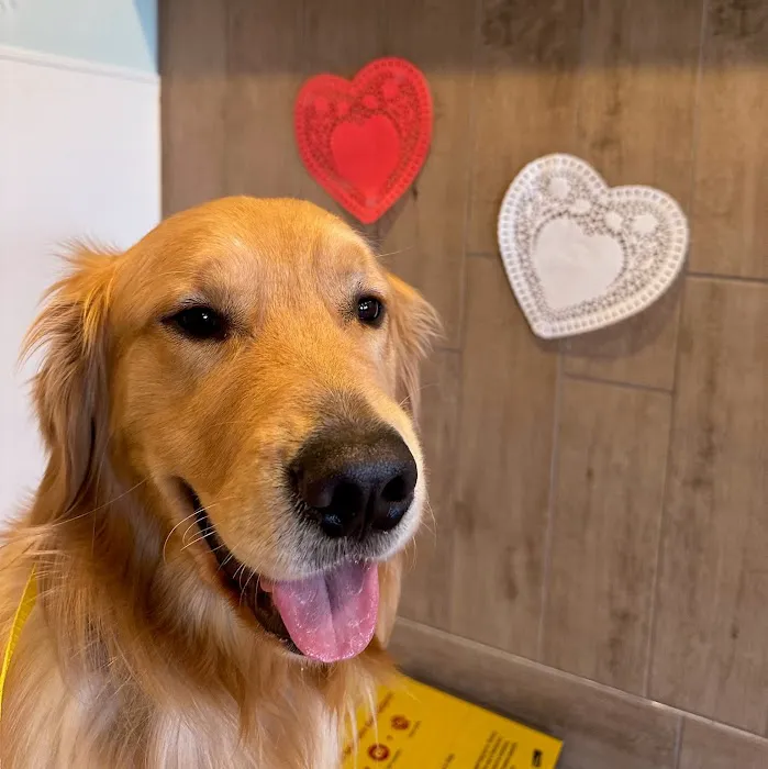 Northeastern Veterinary Care Center 10