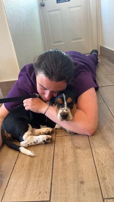 Northeastern Veterinary Care Center 9
