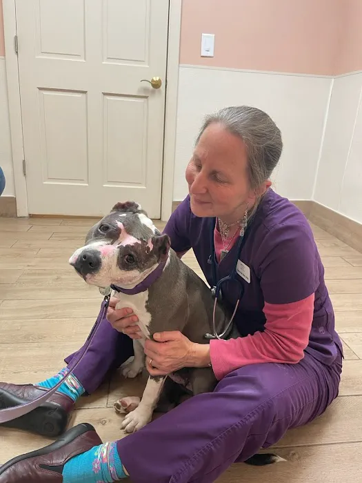 Northeastern Veterinary Care Center 3