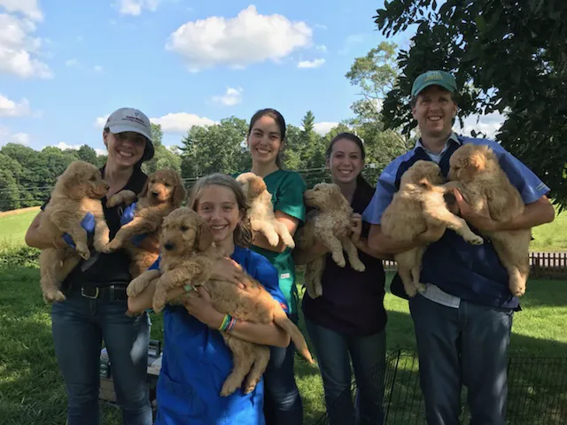 Green Valley Veterinary Services 1