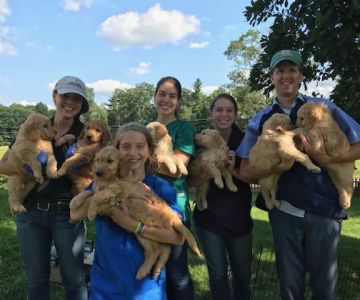 Green Valley Veterinary Services