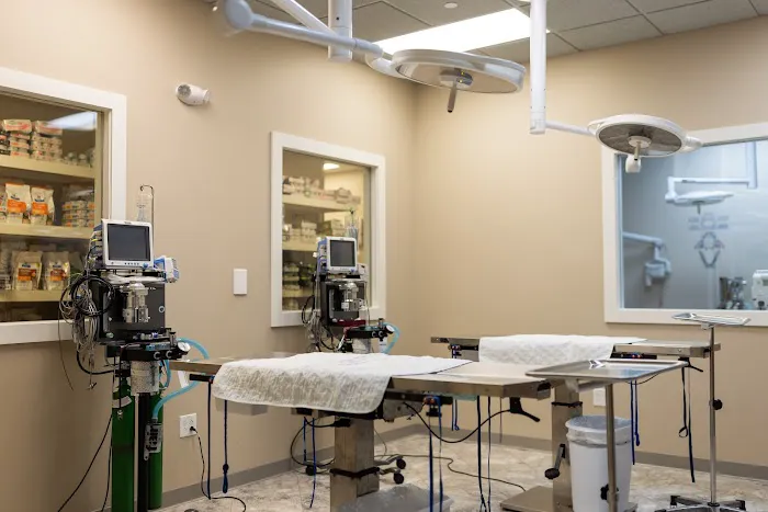 Fenton River Veterinary Hospital 9