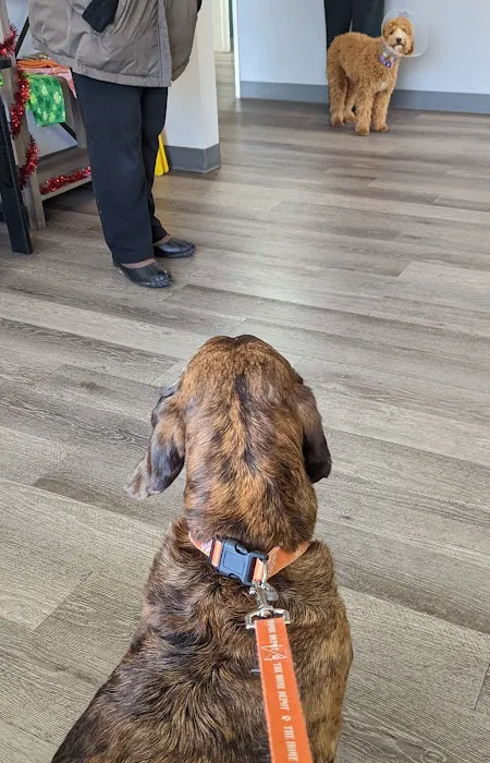 Fort Plain Animal Hospital 9