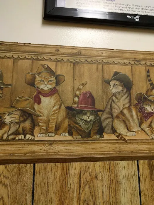 Fort Plain Animal Hospital 6