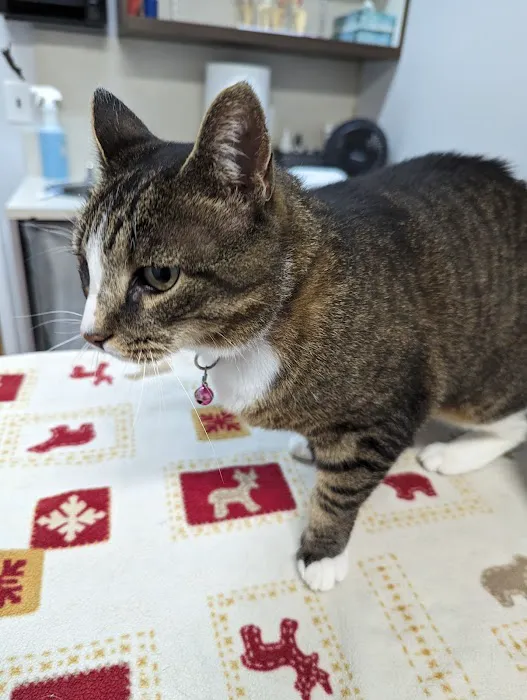 Fort Plain Animal Hospital 5