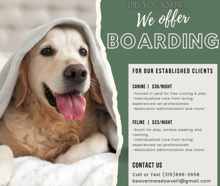 Midvale Veterinary Clinic 1