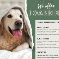 Midvale Veterinary Clinic ico