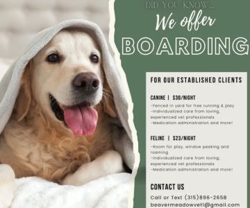 Midvale Veterinary Clinic