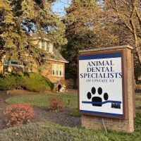 Animal Dental Specialists of Upstate New York ico