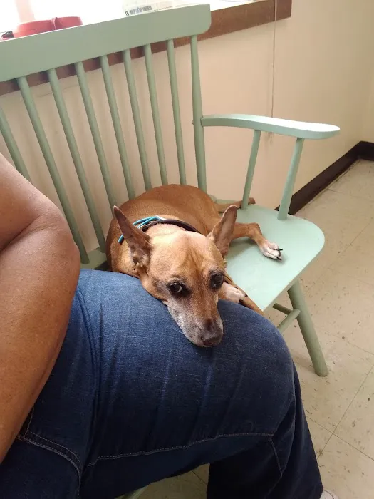 Dewitt Veterinary Medical Center 2