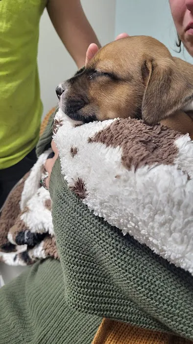 Veterinary Medical Center of CNY 3