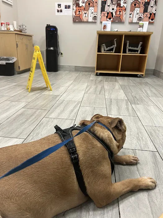 Veterinary Medical Center of CNY 7