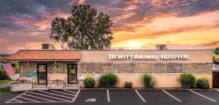 DeWitt Animal Hospital, P.C. 7
