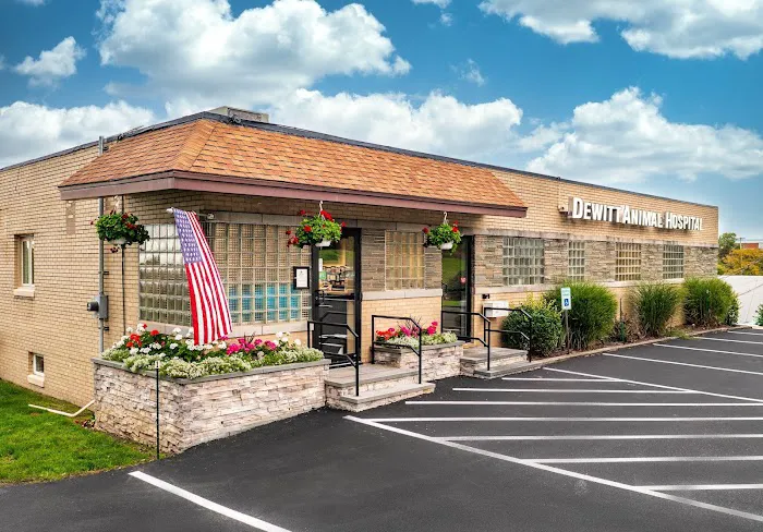 DeWitt Animal Hospital, P.C. 9