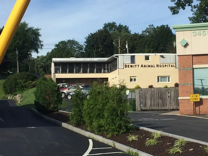 DeWitt Animal Hospital, P.C. 6